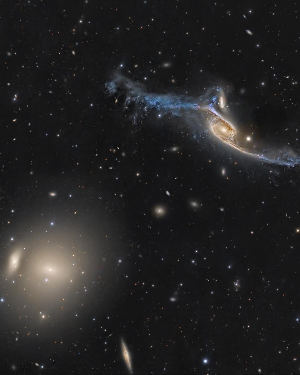 Giant Galaxies in Pavo