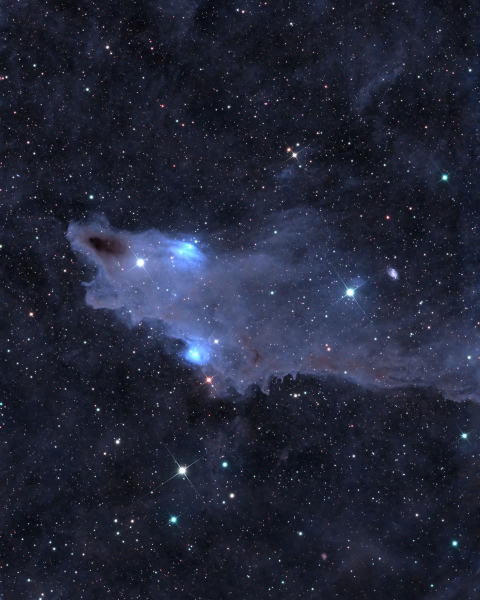 The Shark Nebula