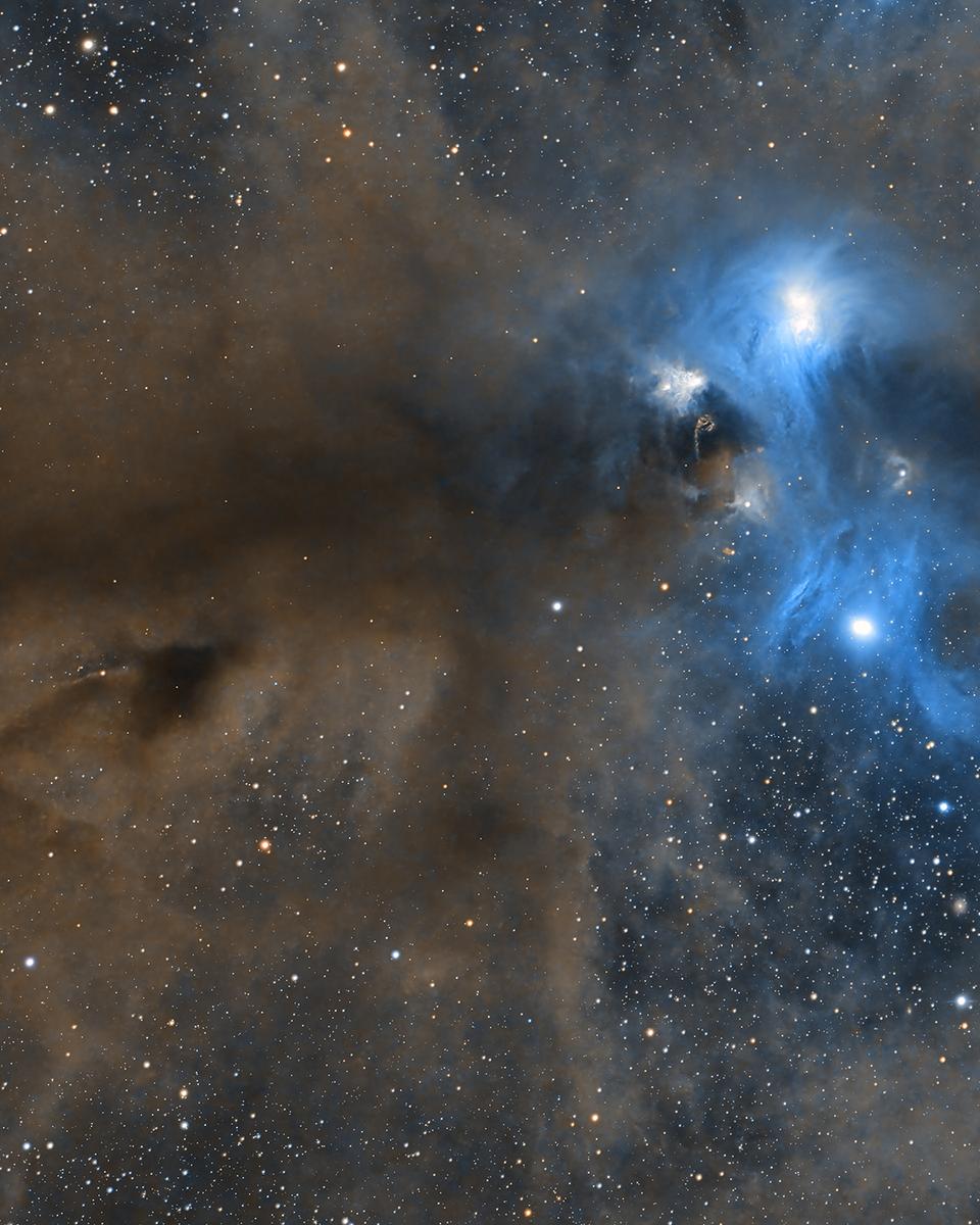 Stars and Dust across Corona Australis
