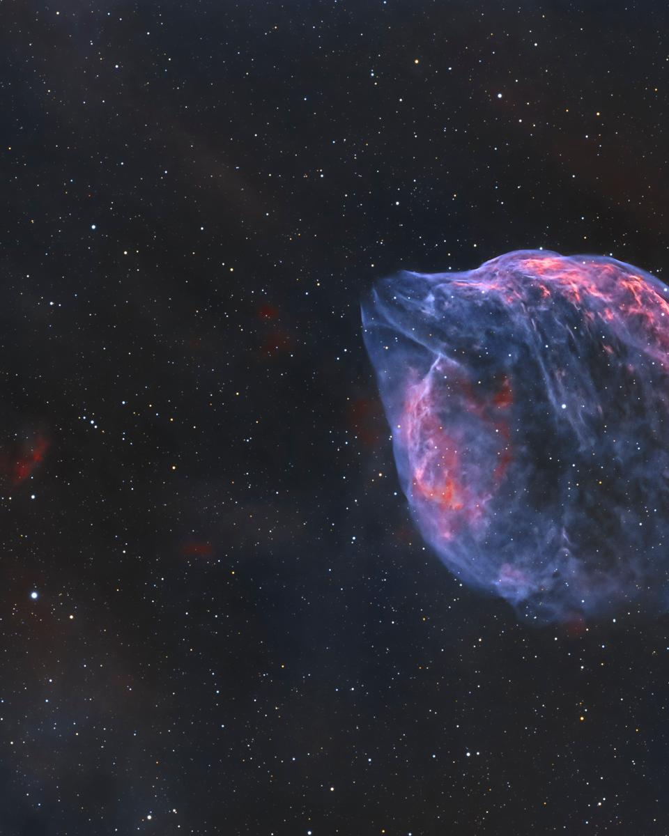 Sh2-308: A Dolphin Shaped Star Bubble