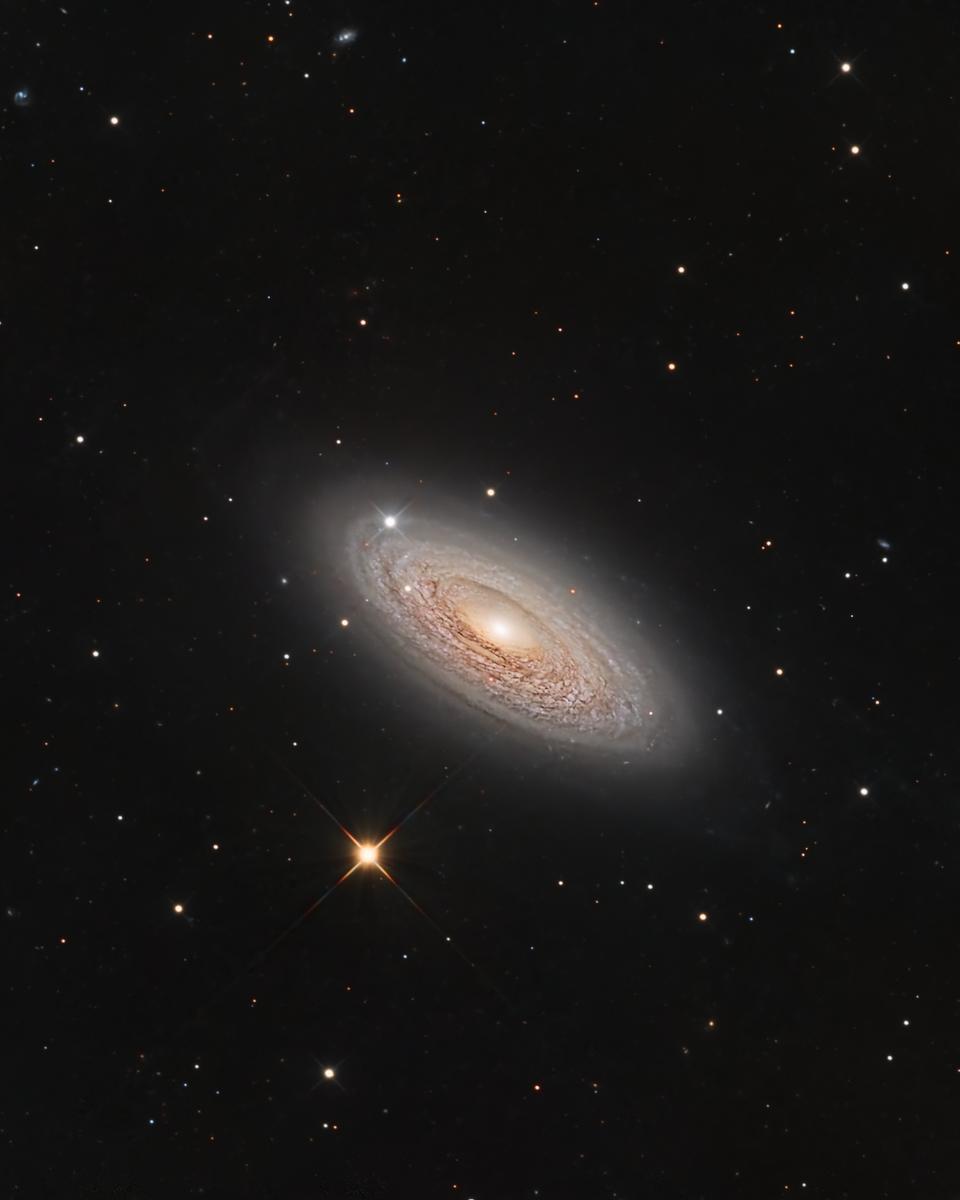 Spiral Galaxy NGC 2841