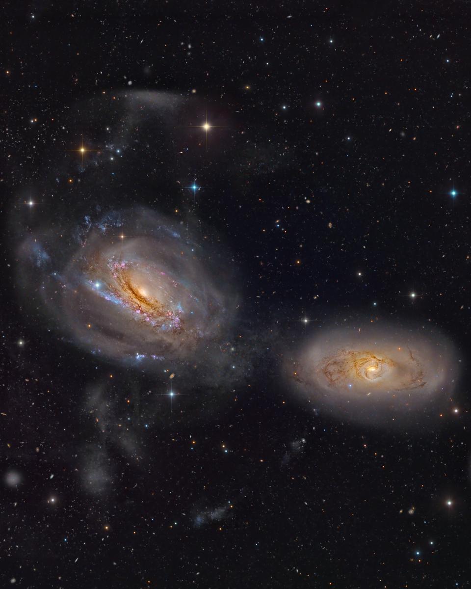Unraveling NGC 3169