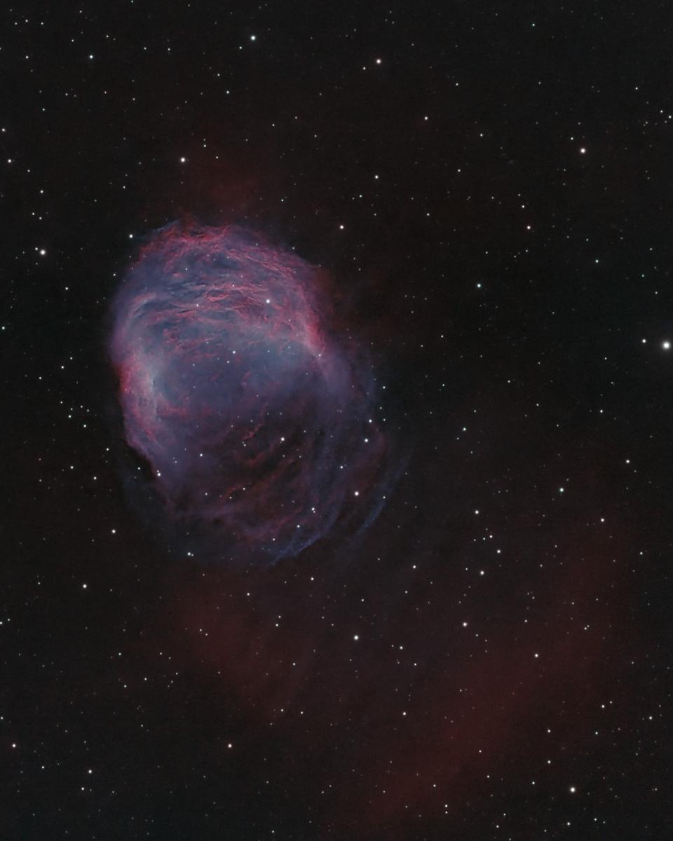 The Medusa Nebula