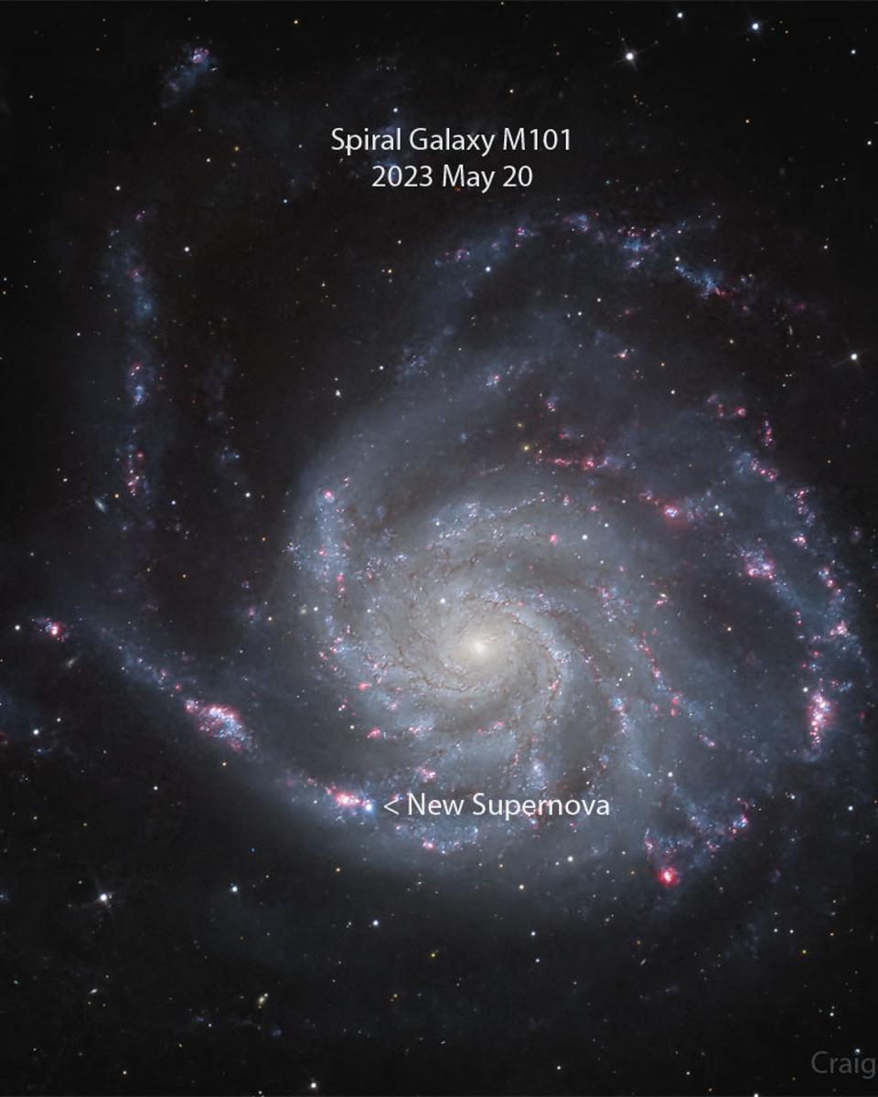 Supernova Discovered in Nearby Spiral Galaxy M101
