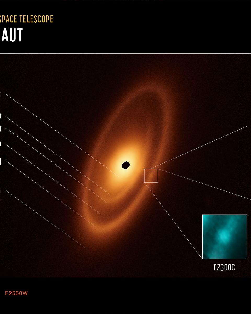 Fomalhaut's Dusty Debris Disk