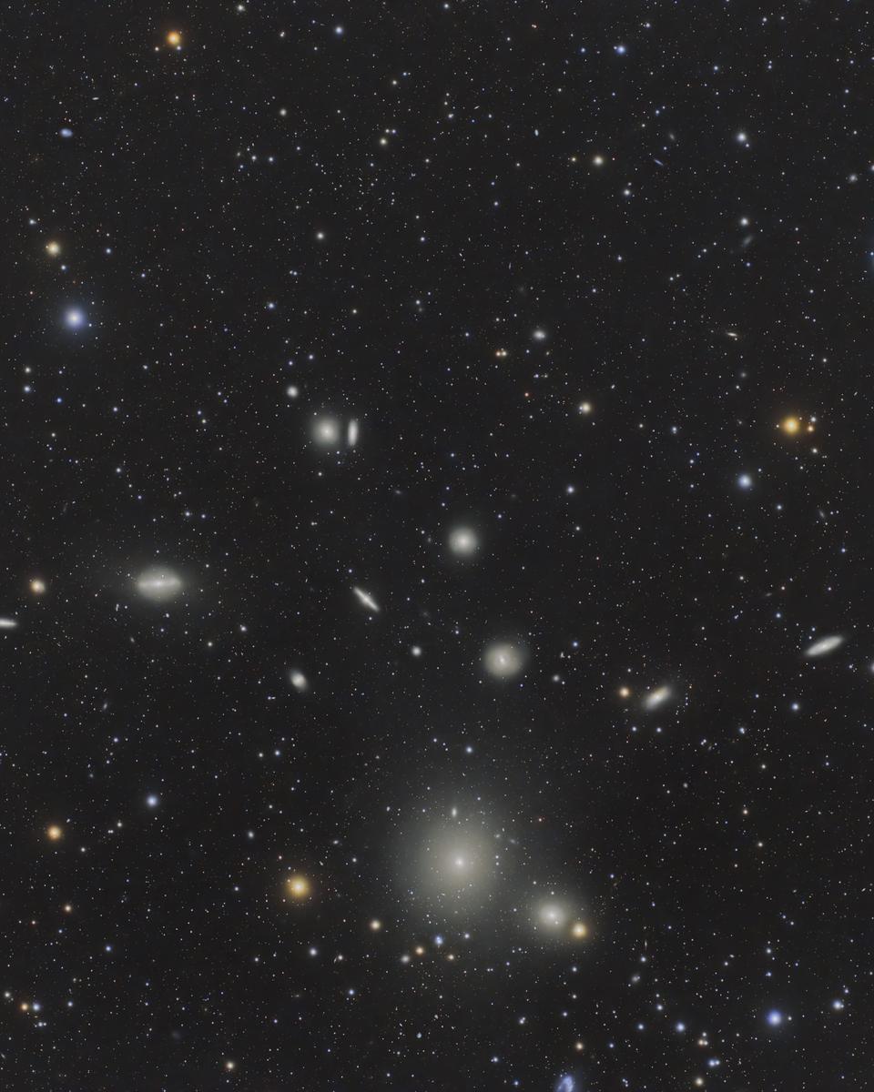 The Fornax Cluster of Galaxies