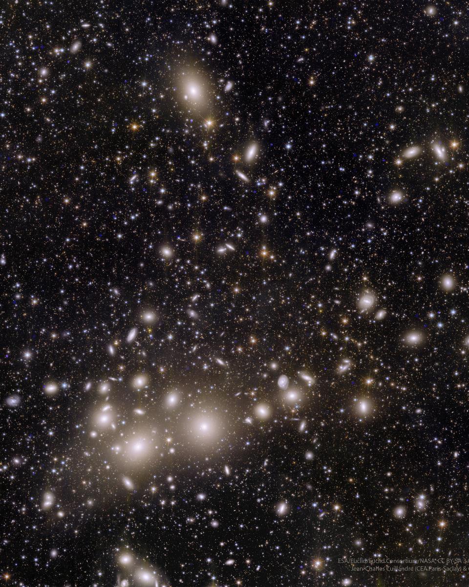 Perseus Galaxy Cluster from Euclid
