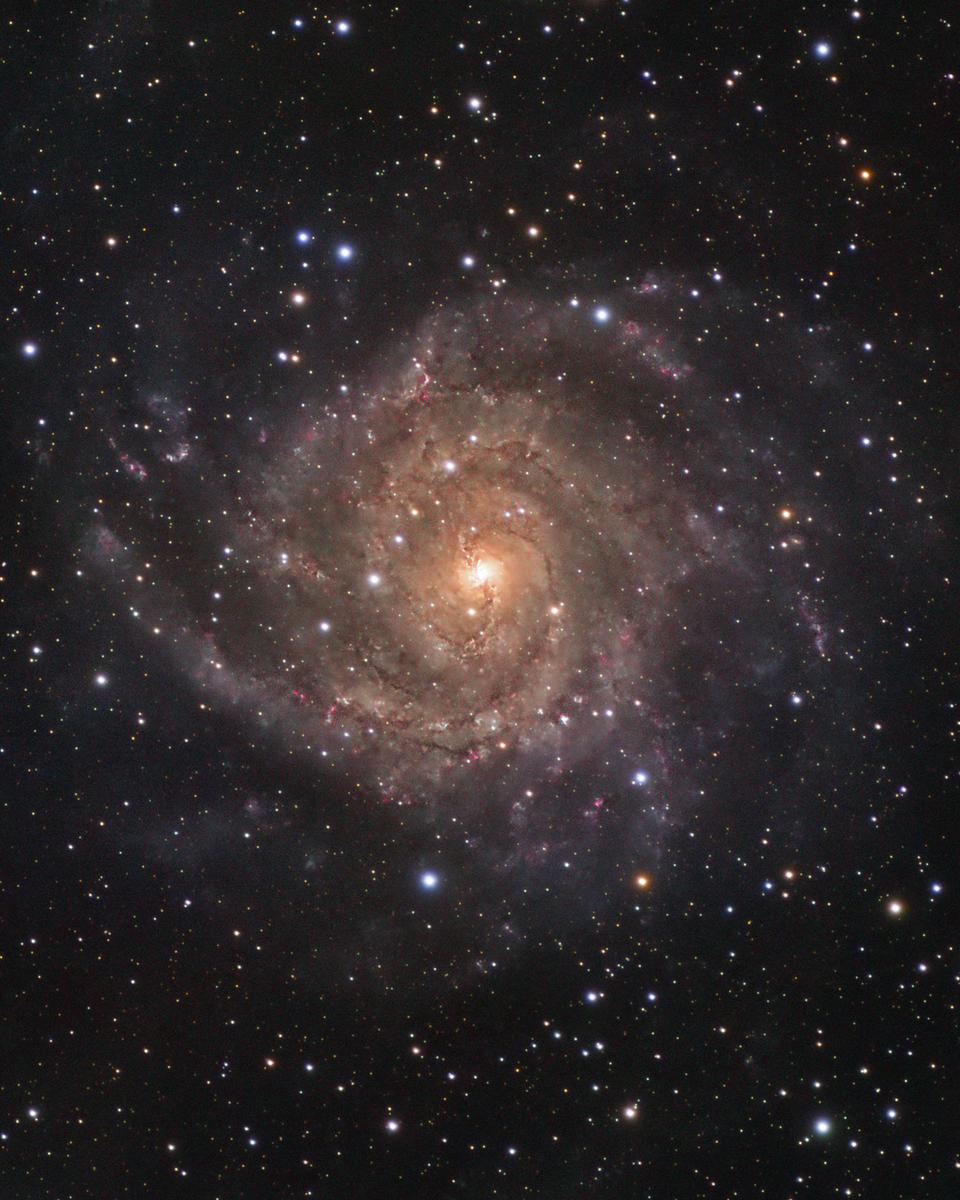 IC 342: Hidden Galaxy in Camelopardalis