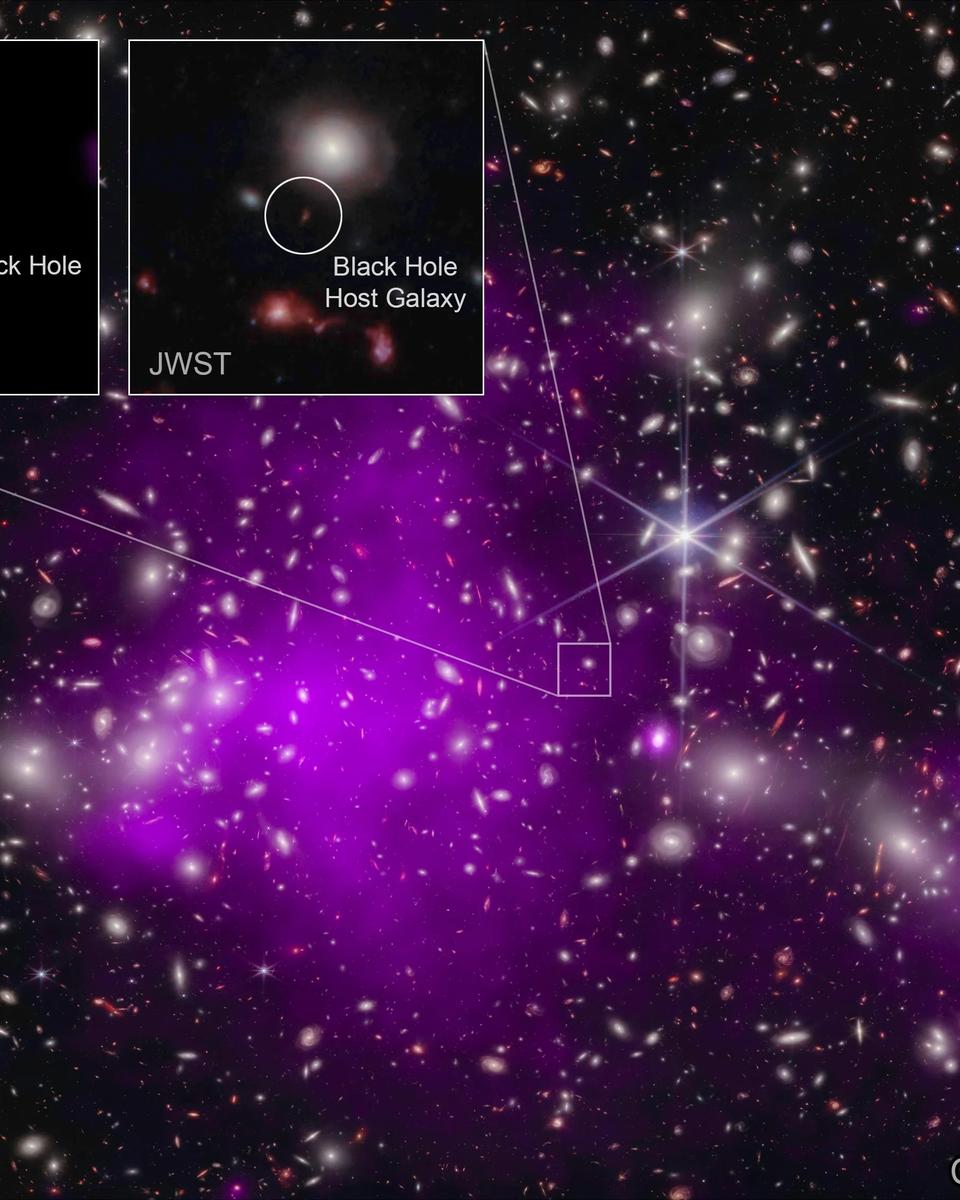 UHZ1: Distant Galaxy and Black Hole