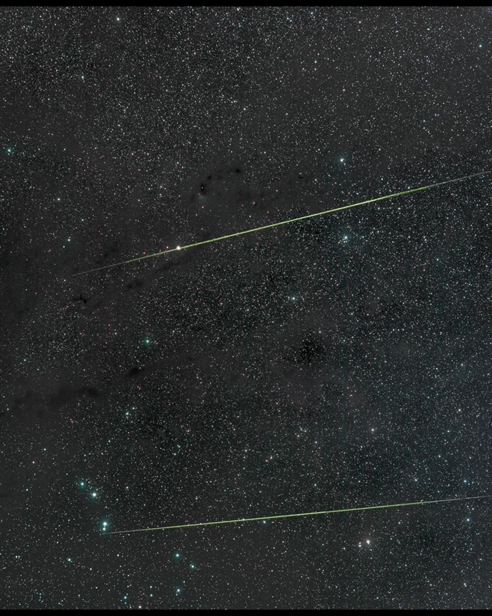 Orionids in Taurus