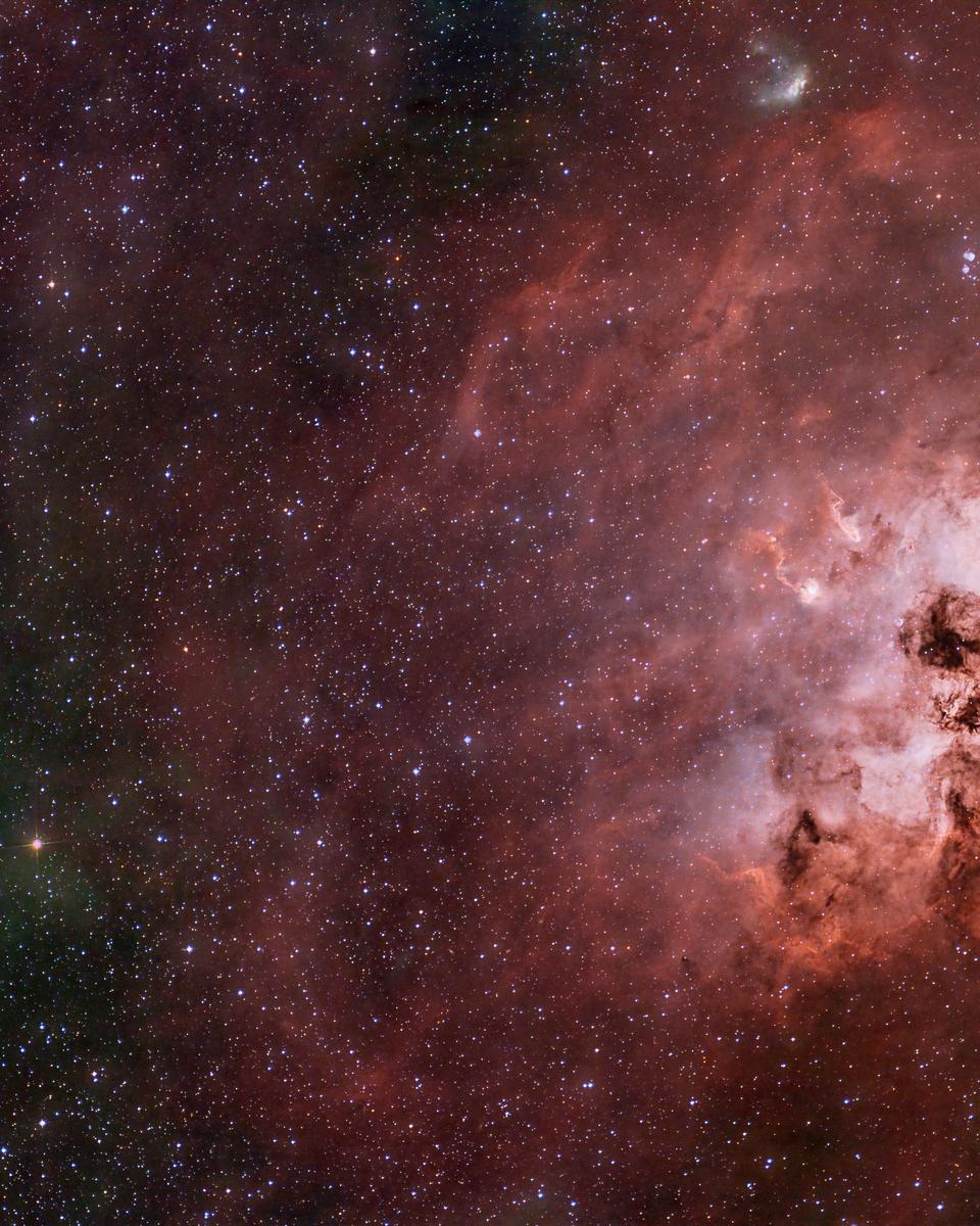 Encke and the Tadpoles