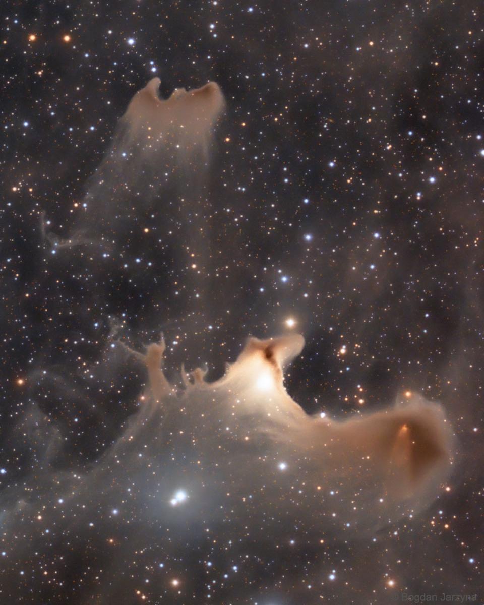 Reflections of the Ghost Nebula