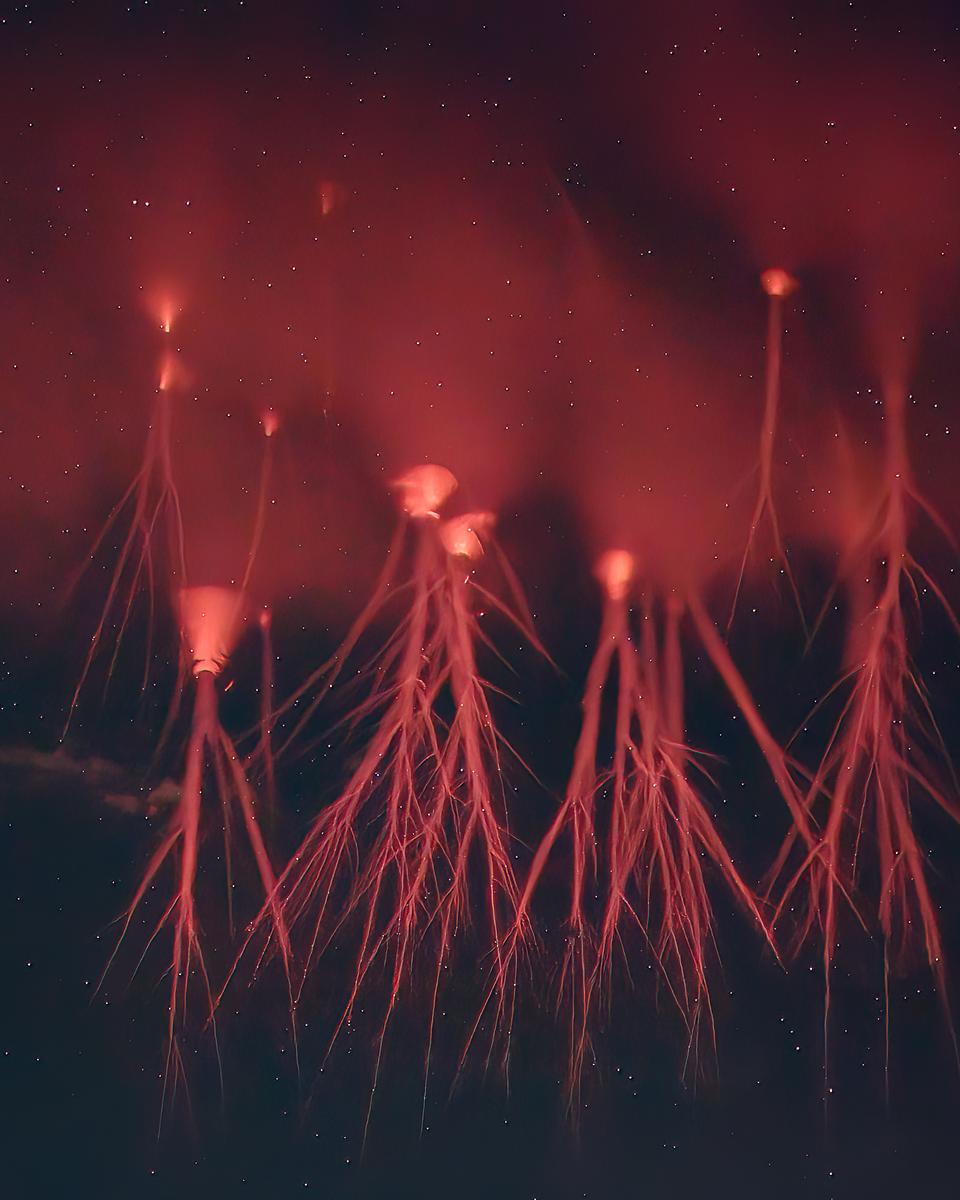 Sprite Lightning in High Definition