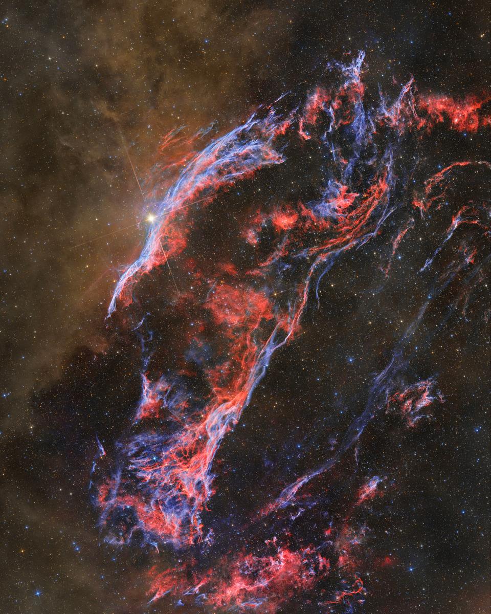 Dust and the Western Veil Nebula