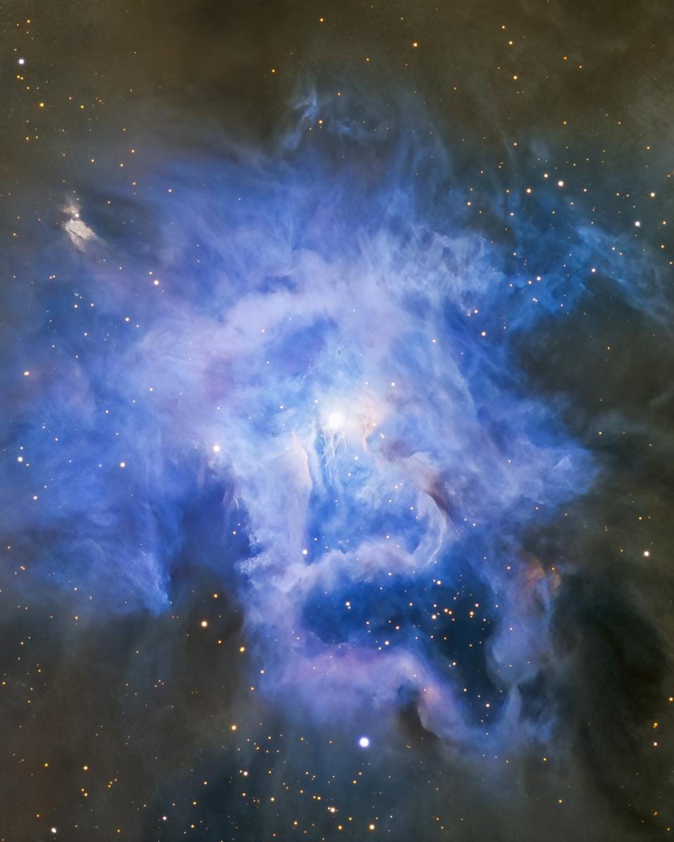 NGC 7023: The Iris Nebula
