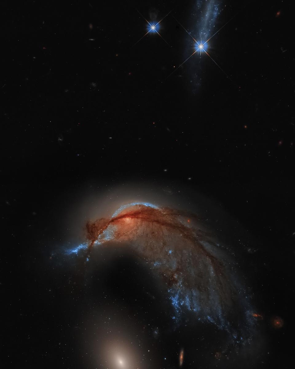 Arp 142: The Hummingbird Galaxy