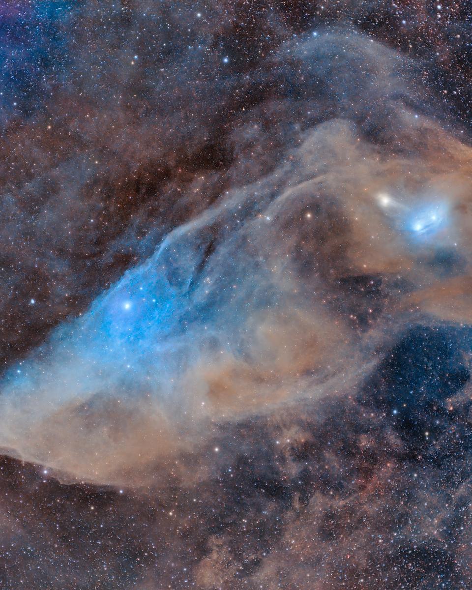 IC 4592: The Blue Horsehead Reflection Nebula