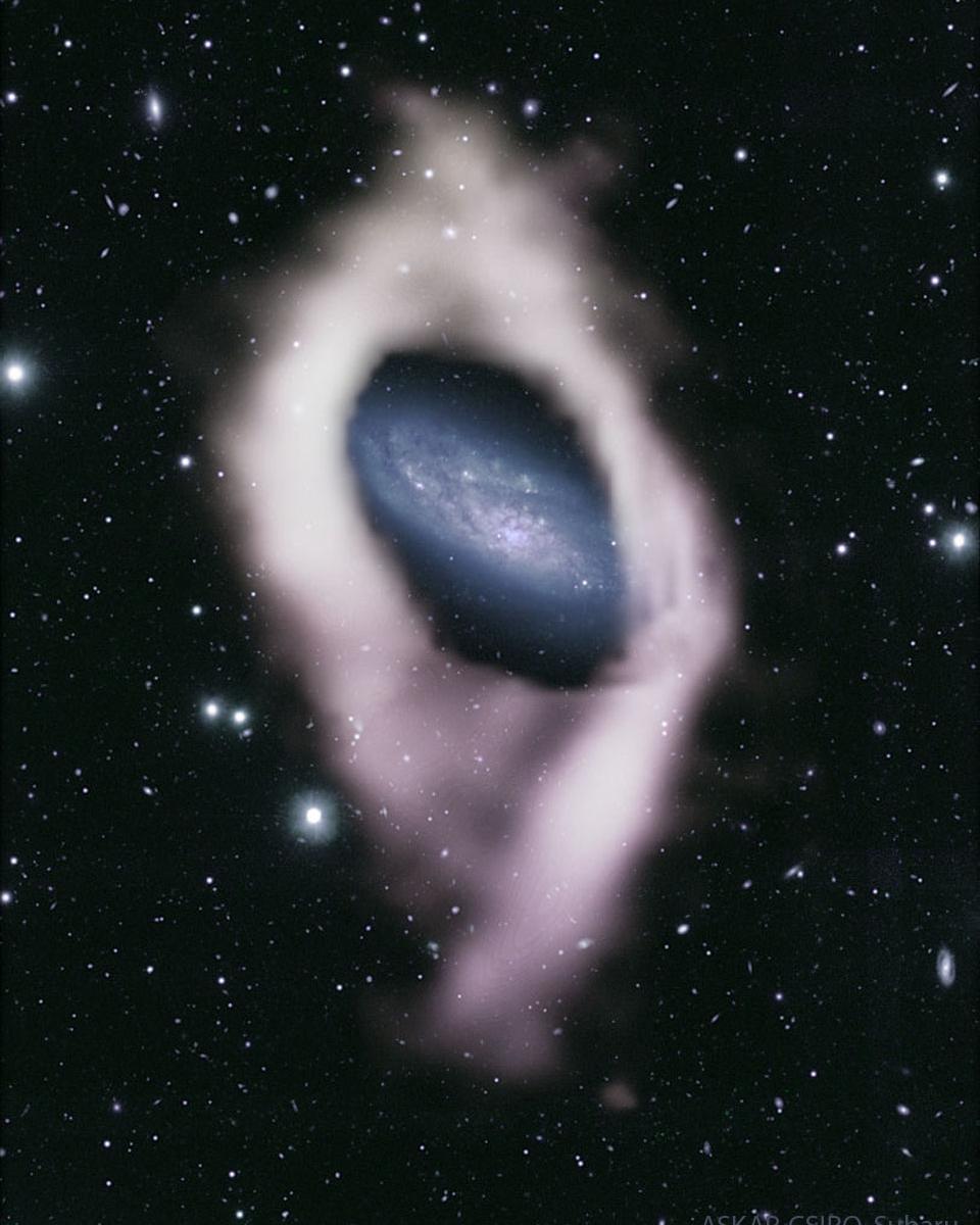 NGC 4632: Galaxy with a Hidden Polar Ring