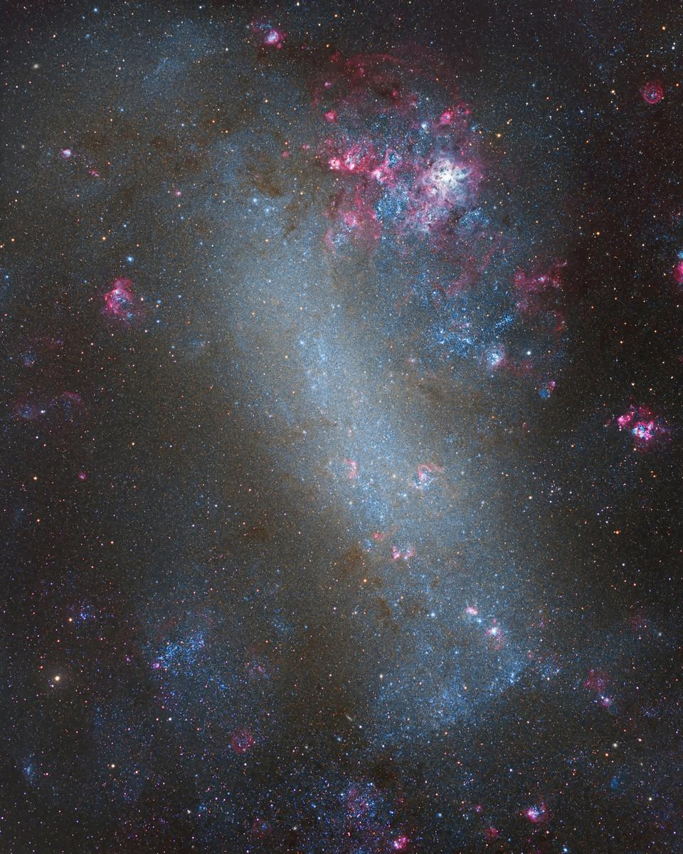 The Large Cloud of Magellan