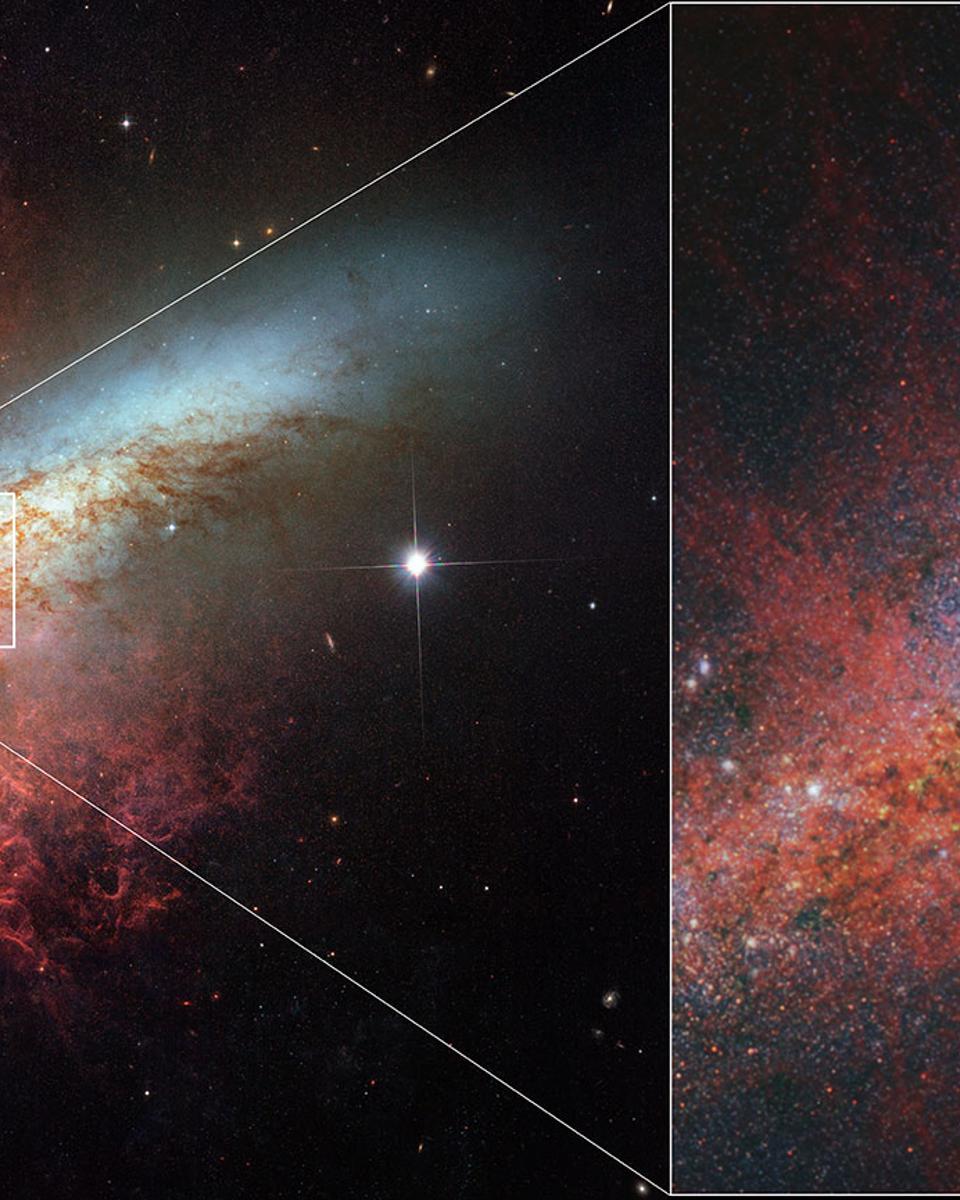The Cigar Galaxy from Hubble and Webb