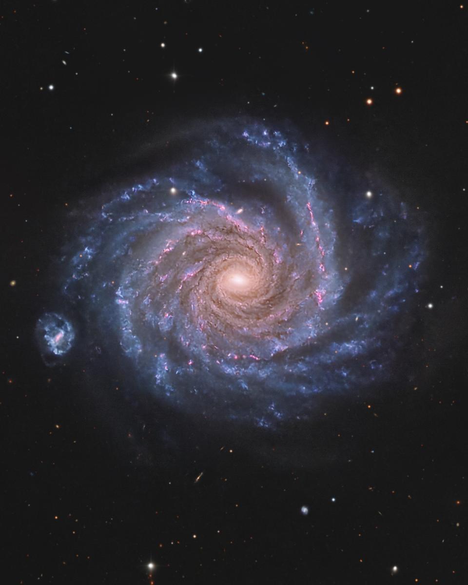 Facing NGC 1232