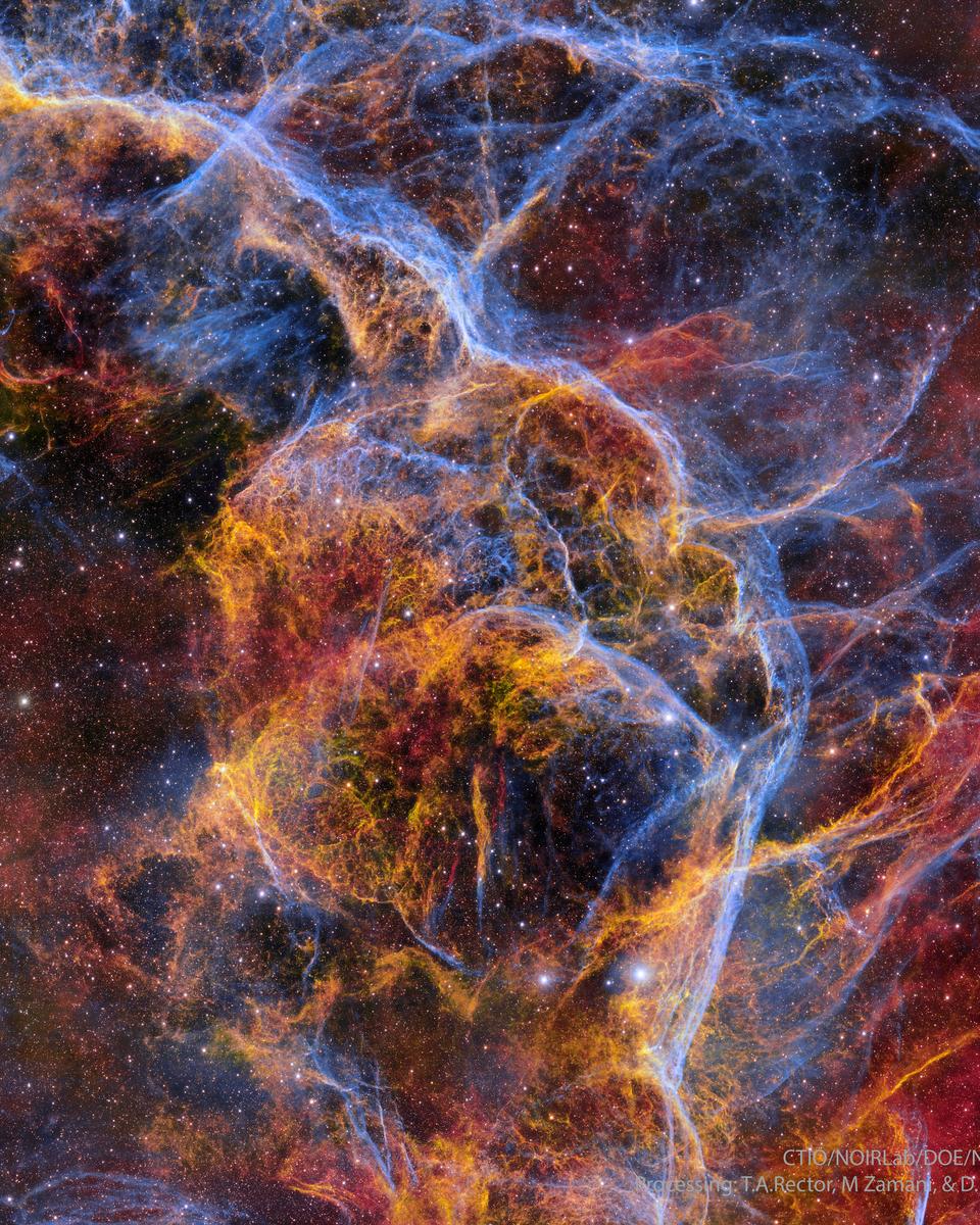 Filaments of the Vela Supernova Remnant