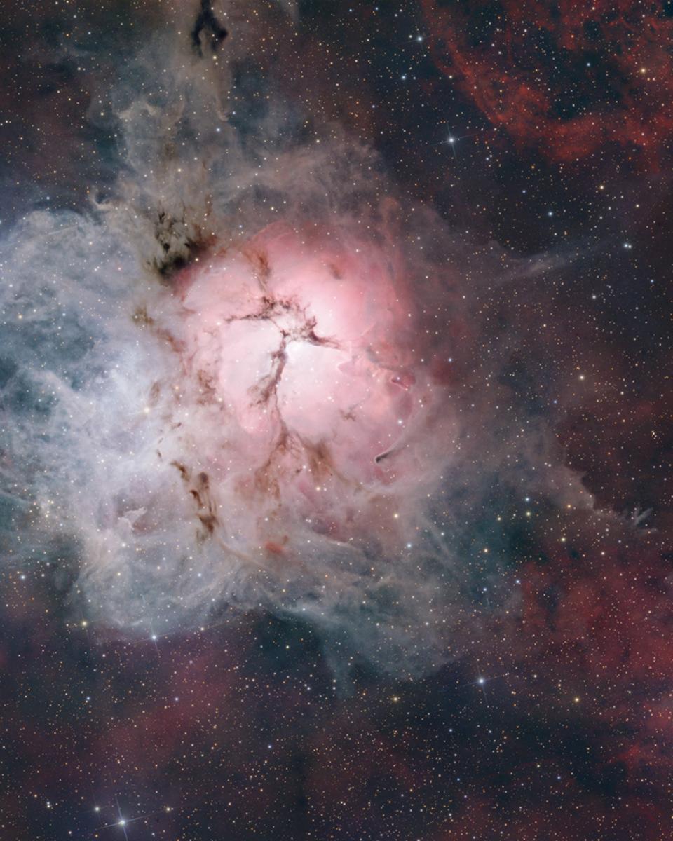 The Light, Dark, and Dusty Trifid