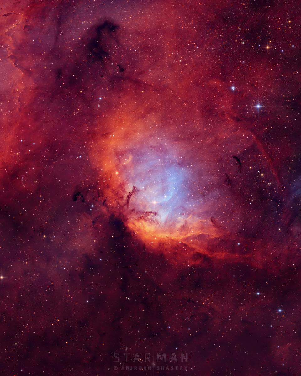 Tulip Nebula and Black Hole Cygnus X-1