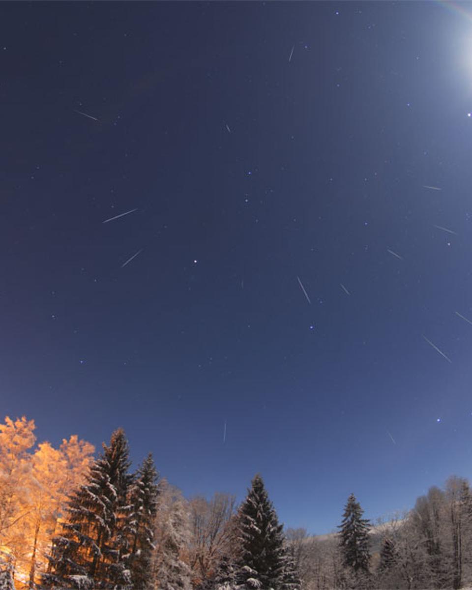 Geminid Meteors over a Snowy Forest
