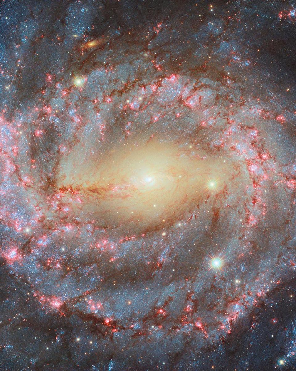 Grand Spiral NGC 5643