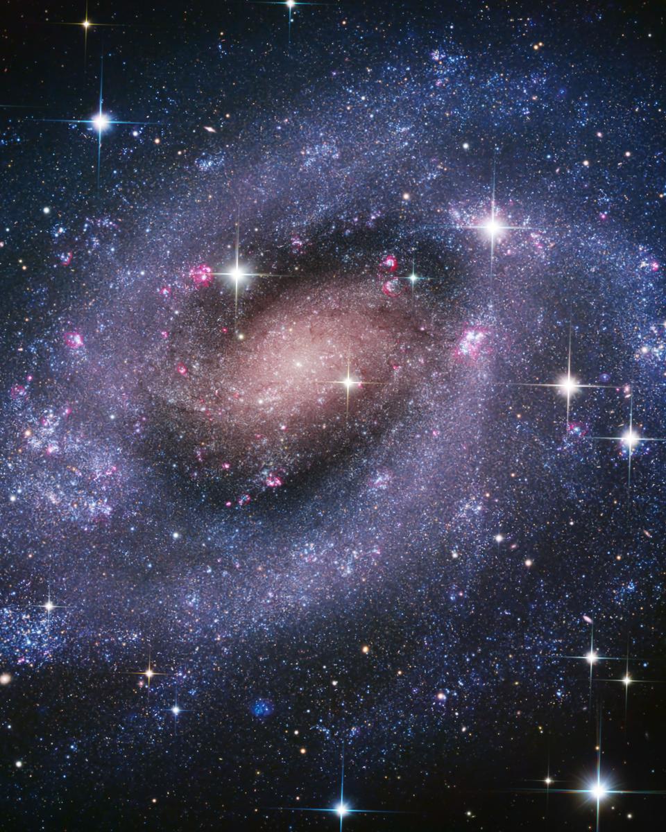 NGC 300: A Galaxy of Stars