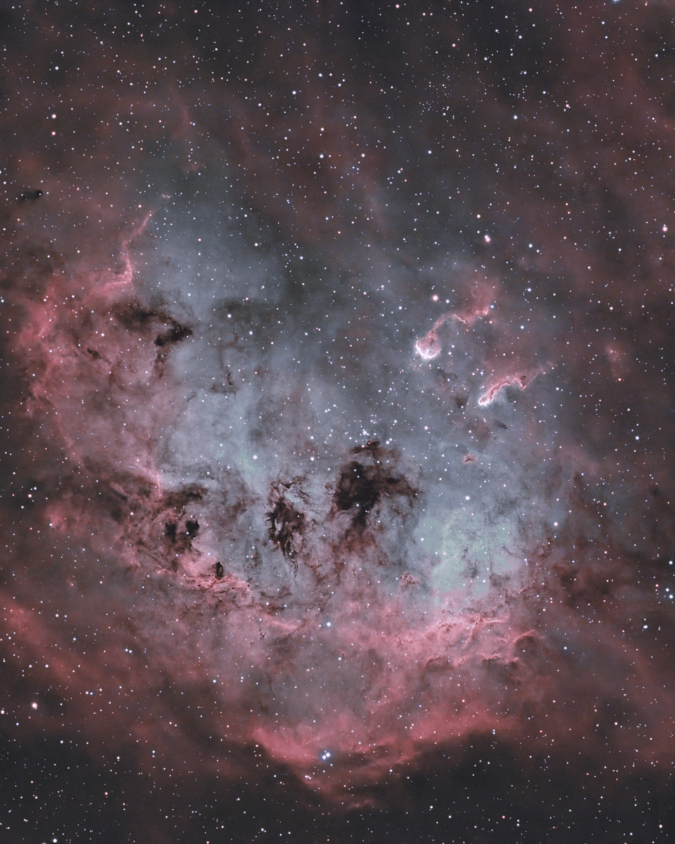 NGC 1893 and the Tadpoles of IC 410