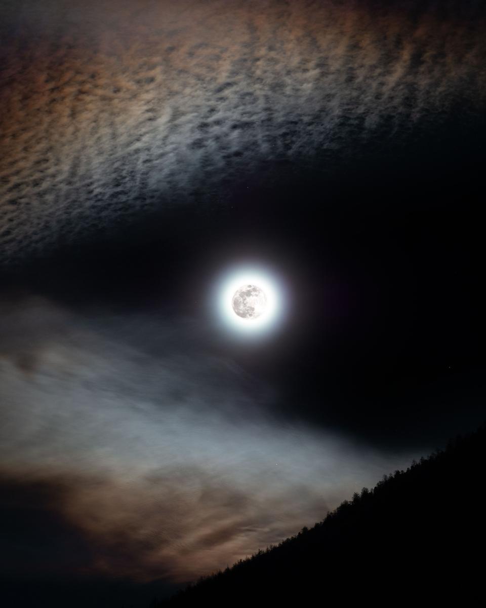 A January Wolf Moon