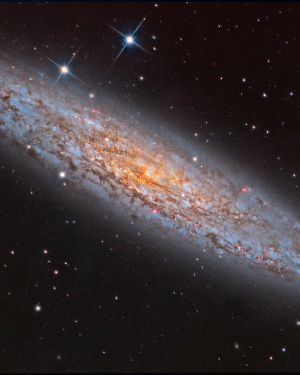 NGC 253: Dusty Island Universe