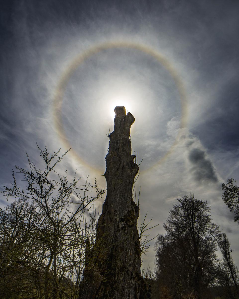 Circling the Sun