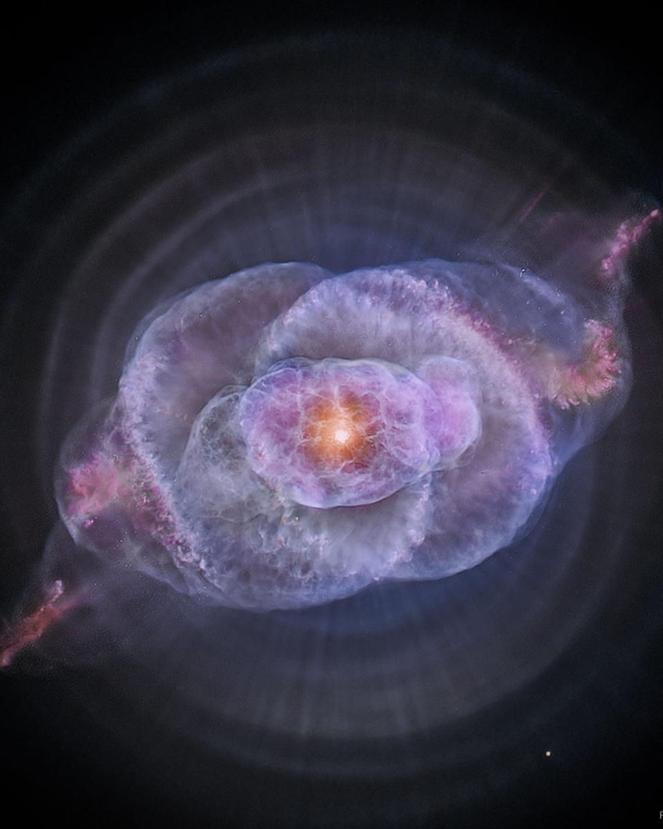 The Cat's Eye Nebula in Optical and X-ray