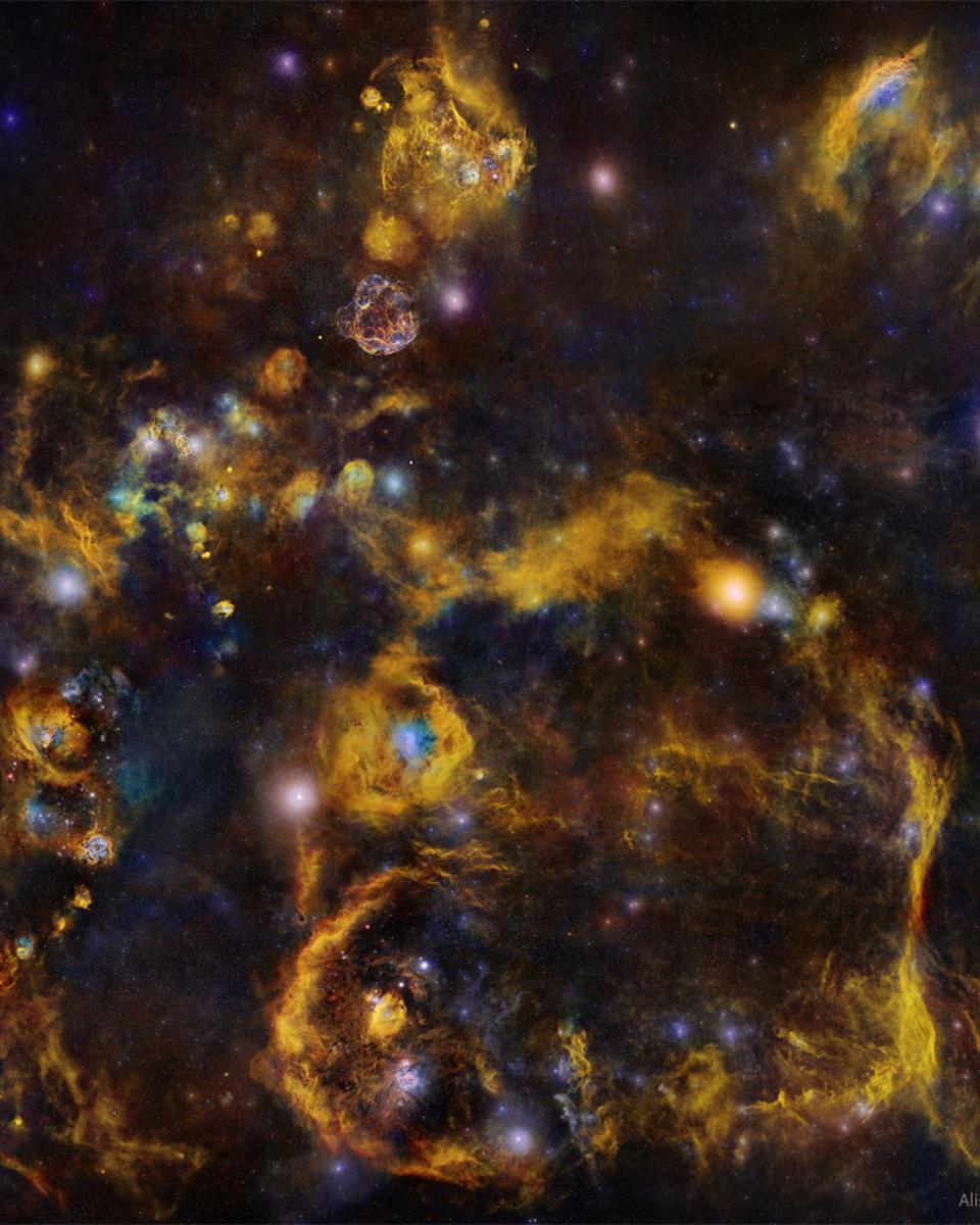Deep Nebulas: From Seagull to California