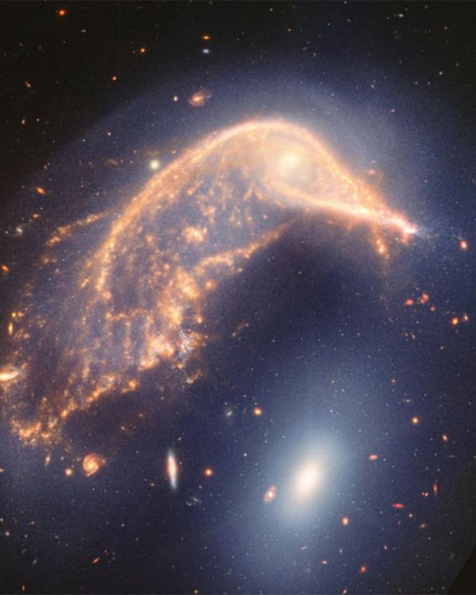 Arp 142: Interacting Galaxies from Webb