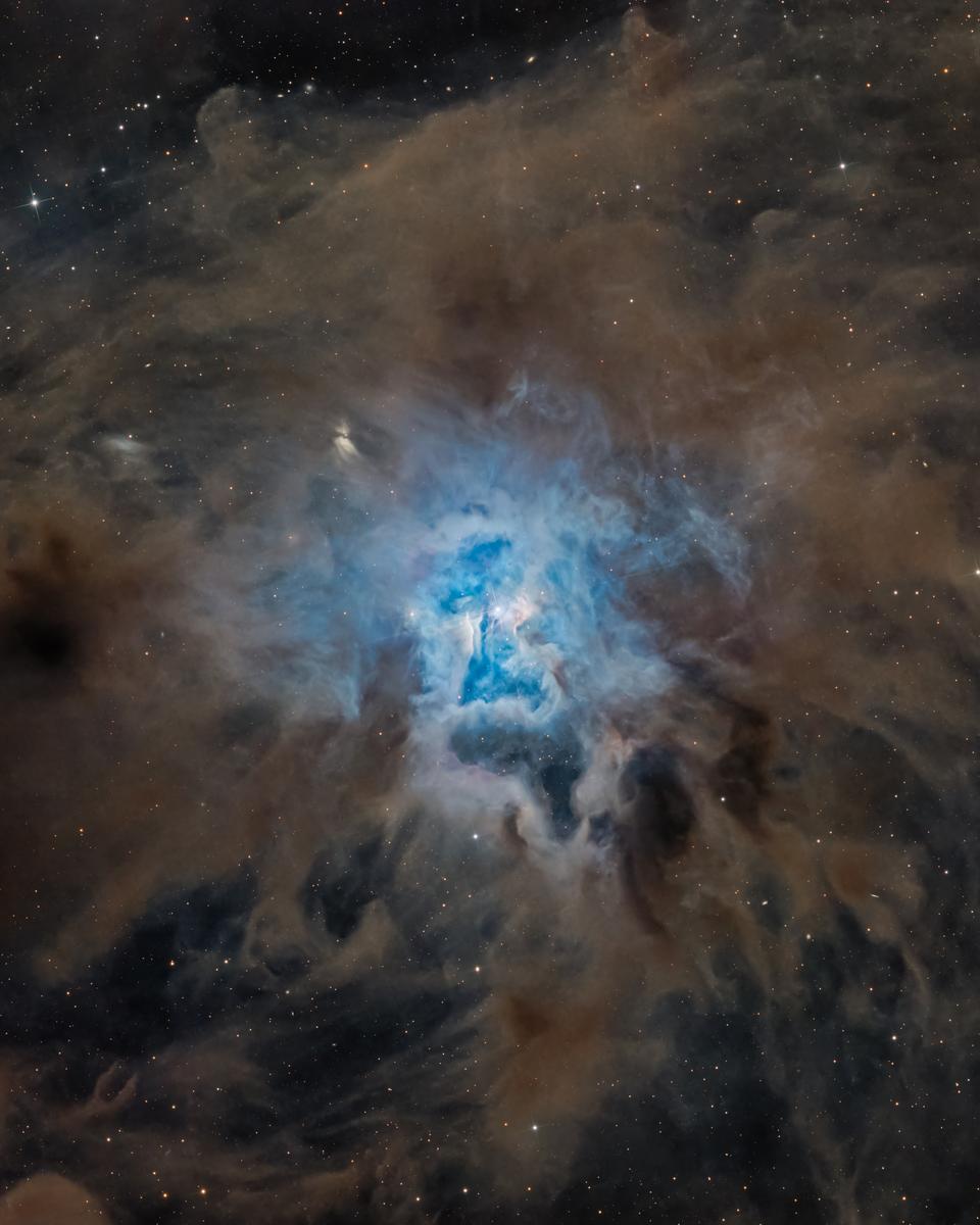 NGC 7023: The Iris Nebula