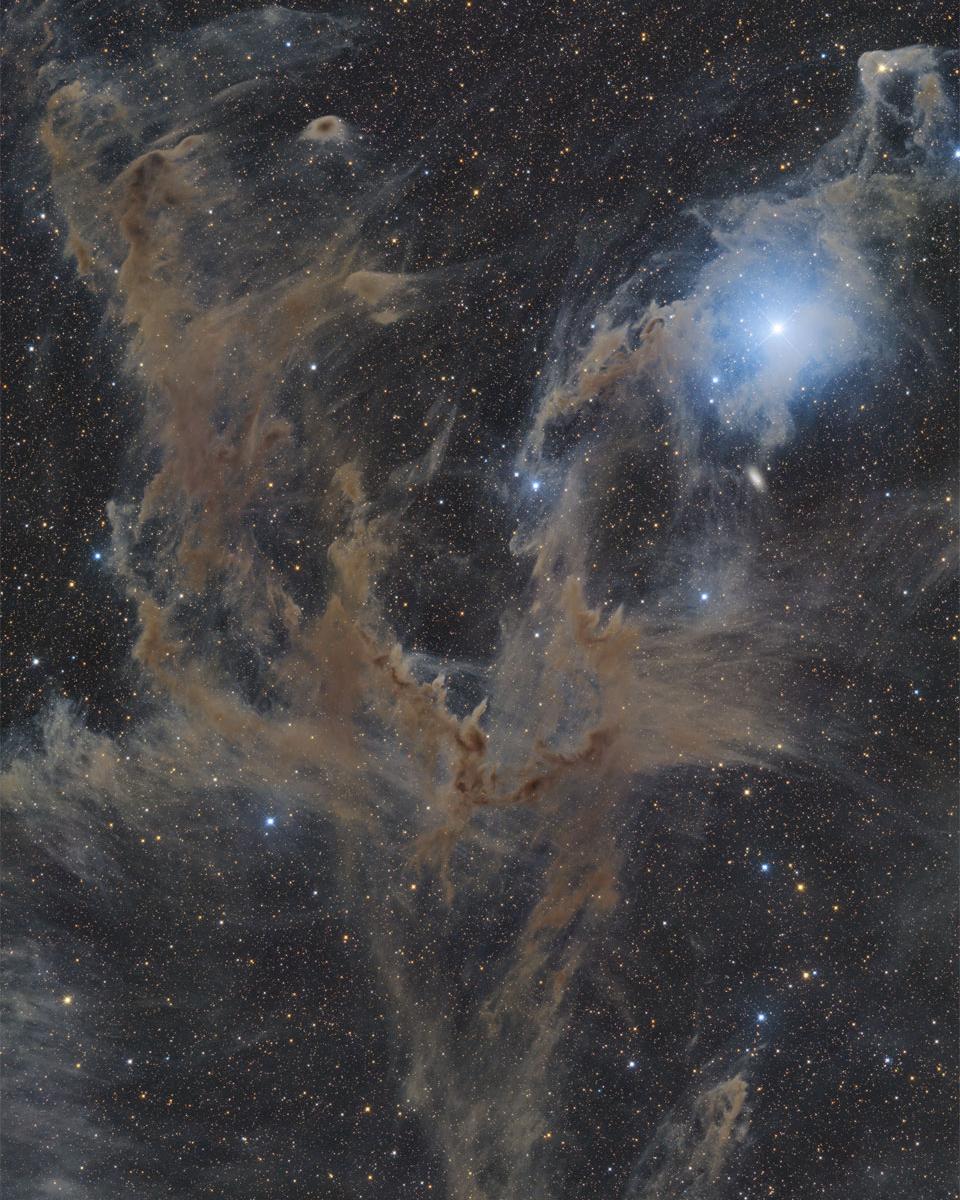Chamaeleon Dark Nebulas