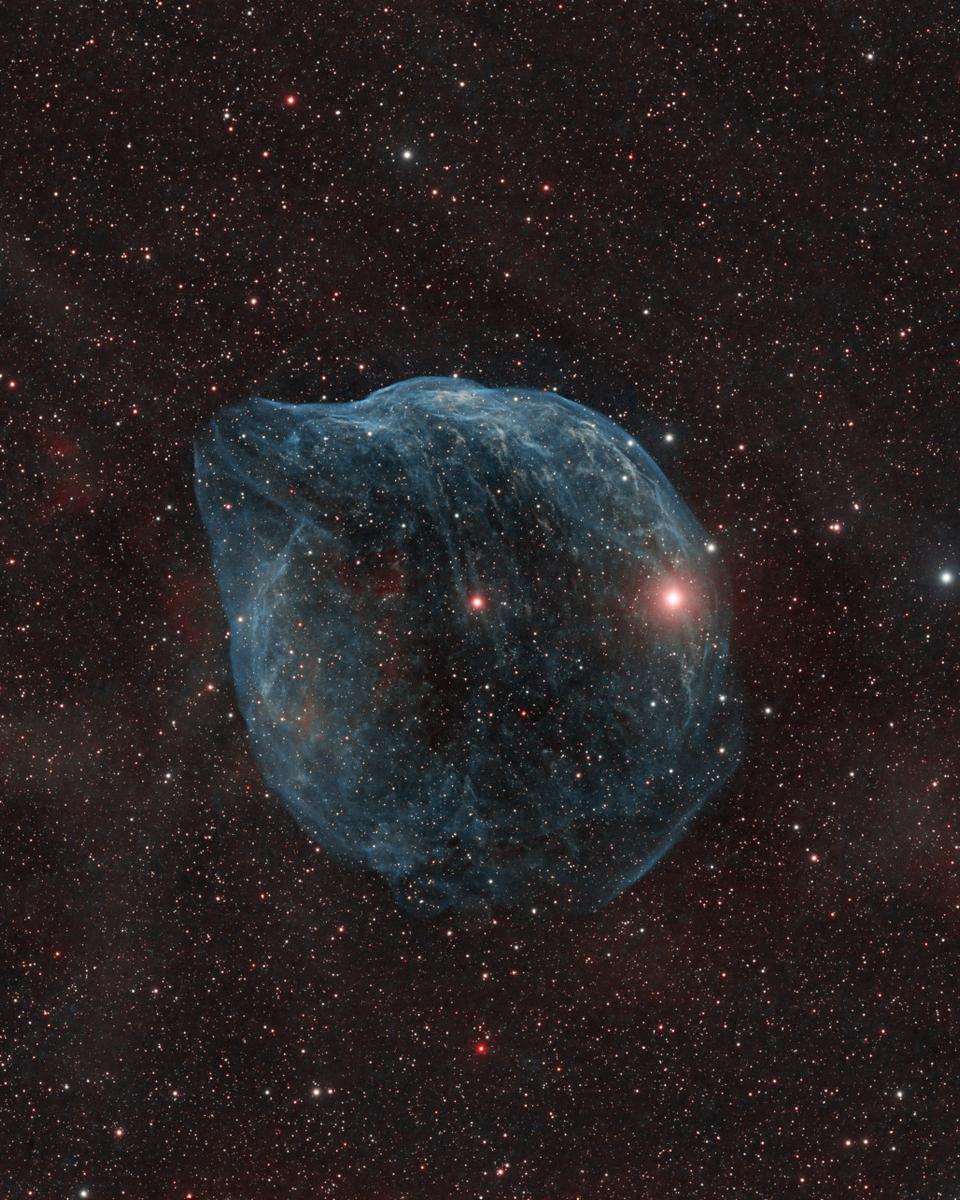 SH2-308: The Dolphin Head Nebula
