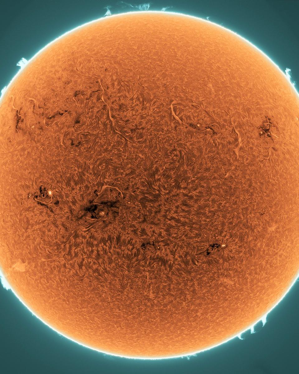 Prominences and Filaments on the Active Sun
