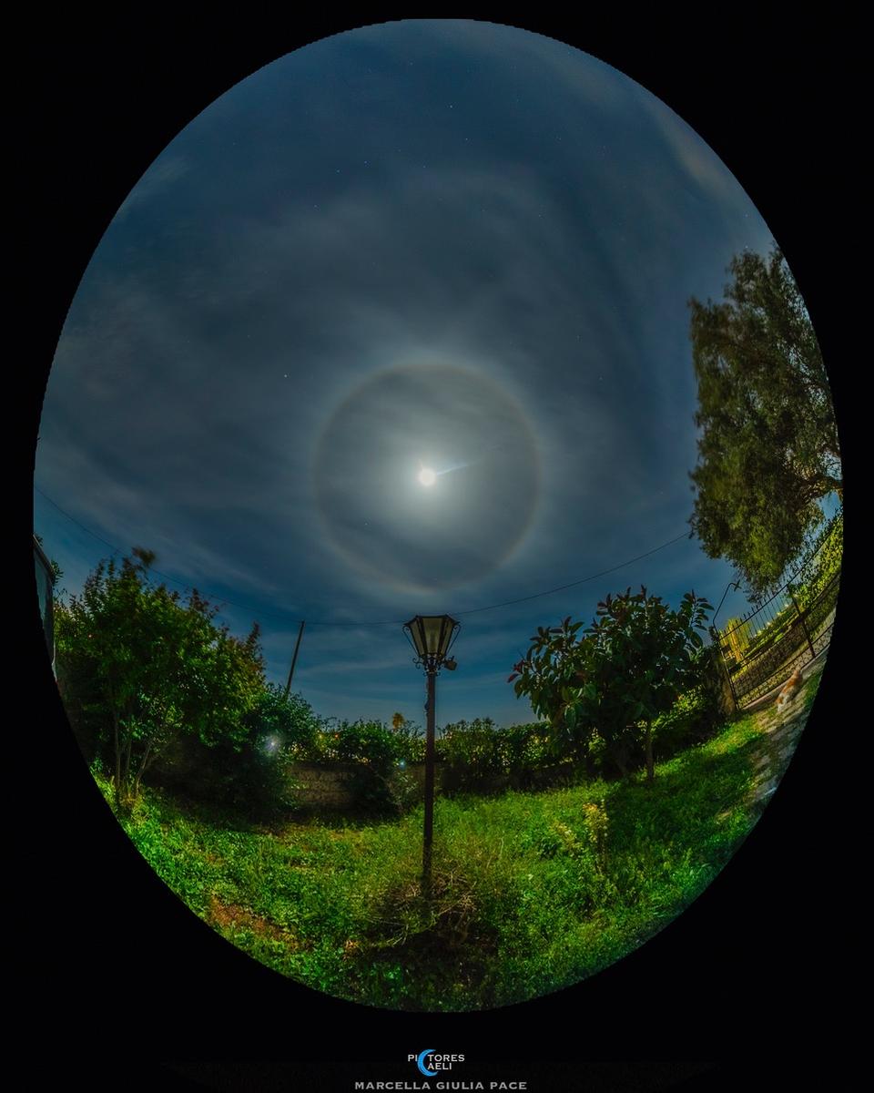 Sandy and the Moon Halo