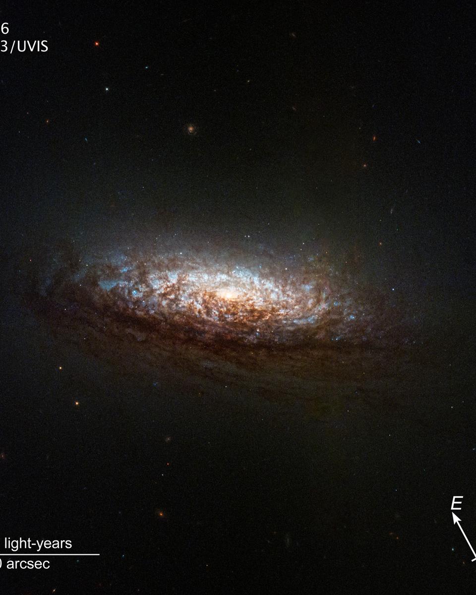 Hubble's NGC 1546