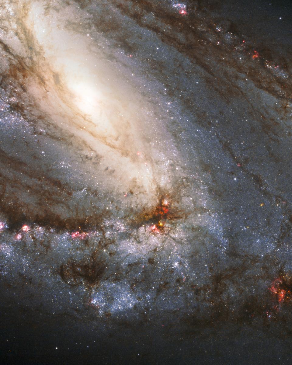 Messier 66 Close Up