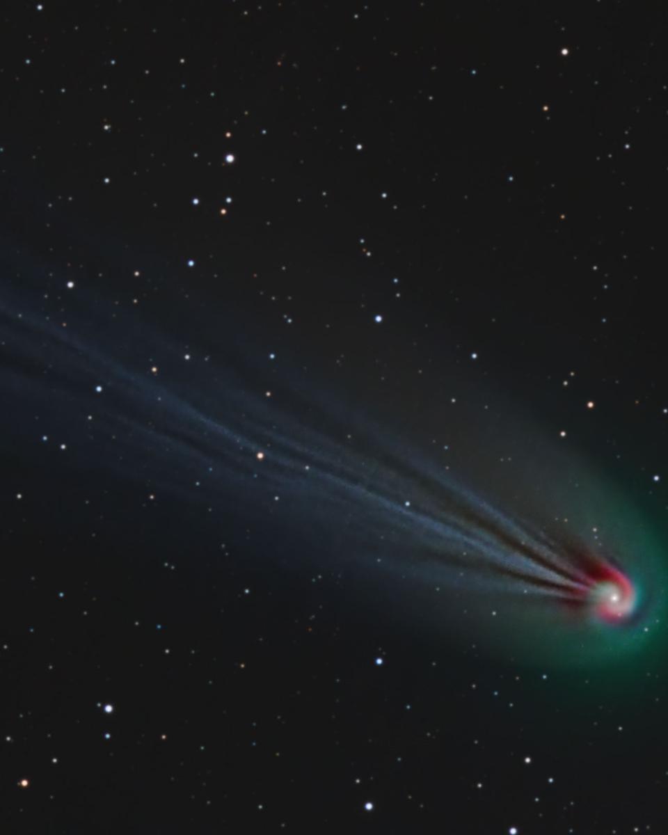 Comet Pons-Brooks' Swirling Coma