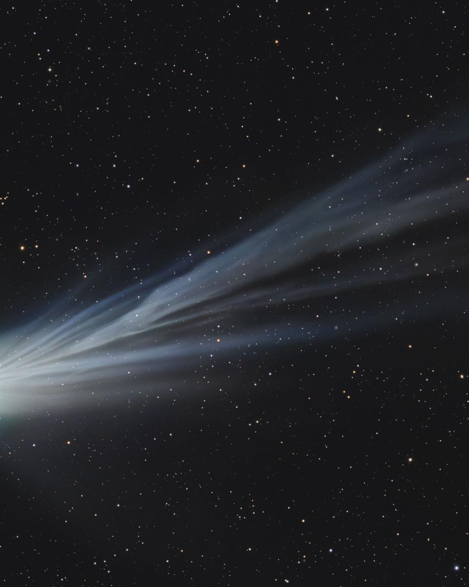Comet Pons-Brooks' Ion Tail