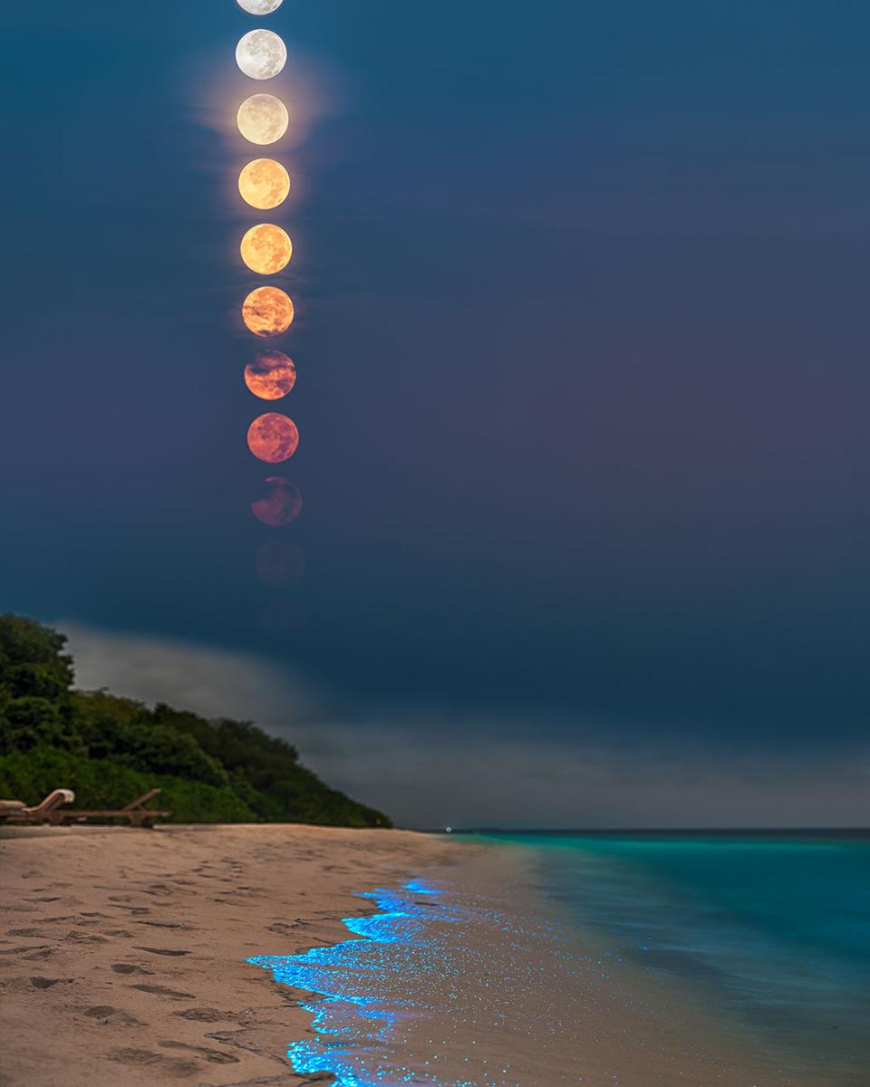 A Full Plankton Moon