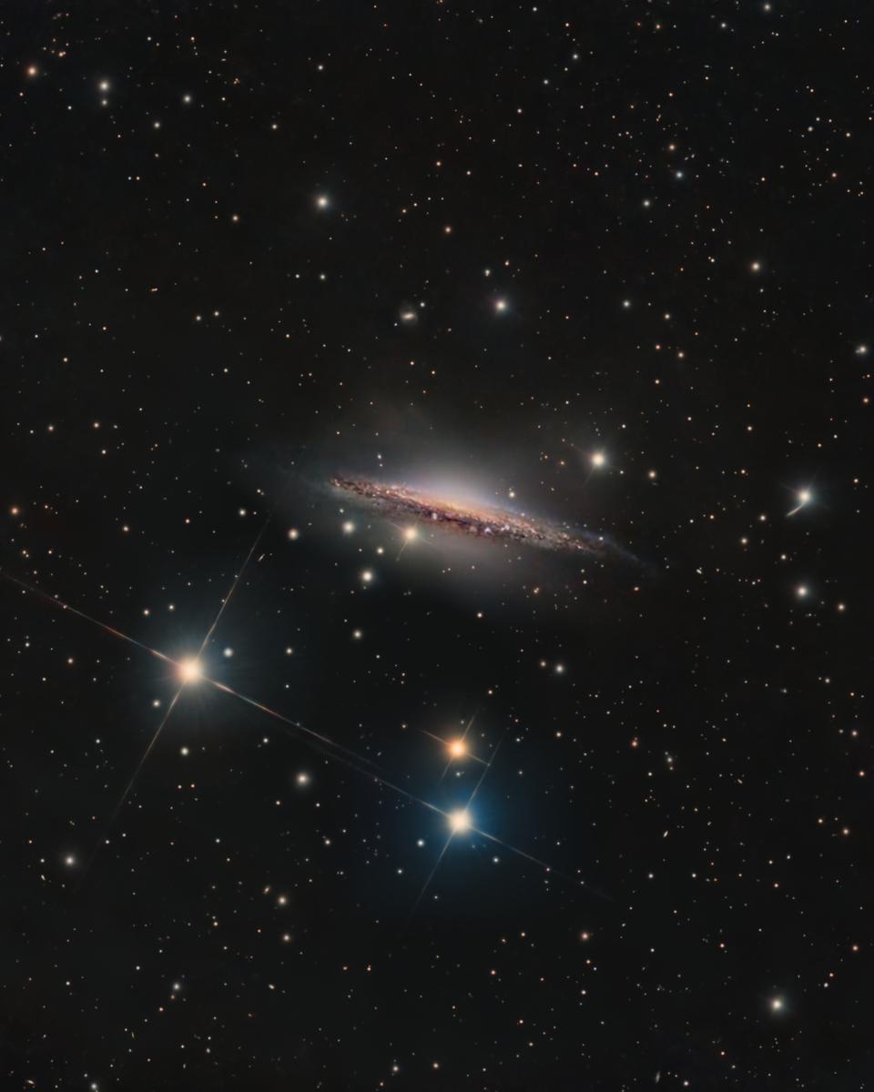 Portrait of NGC 1055