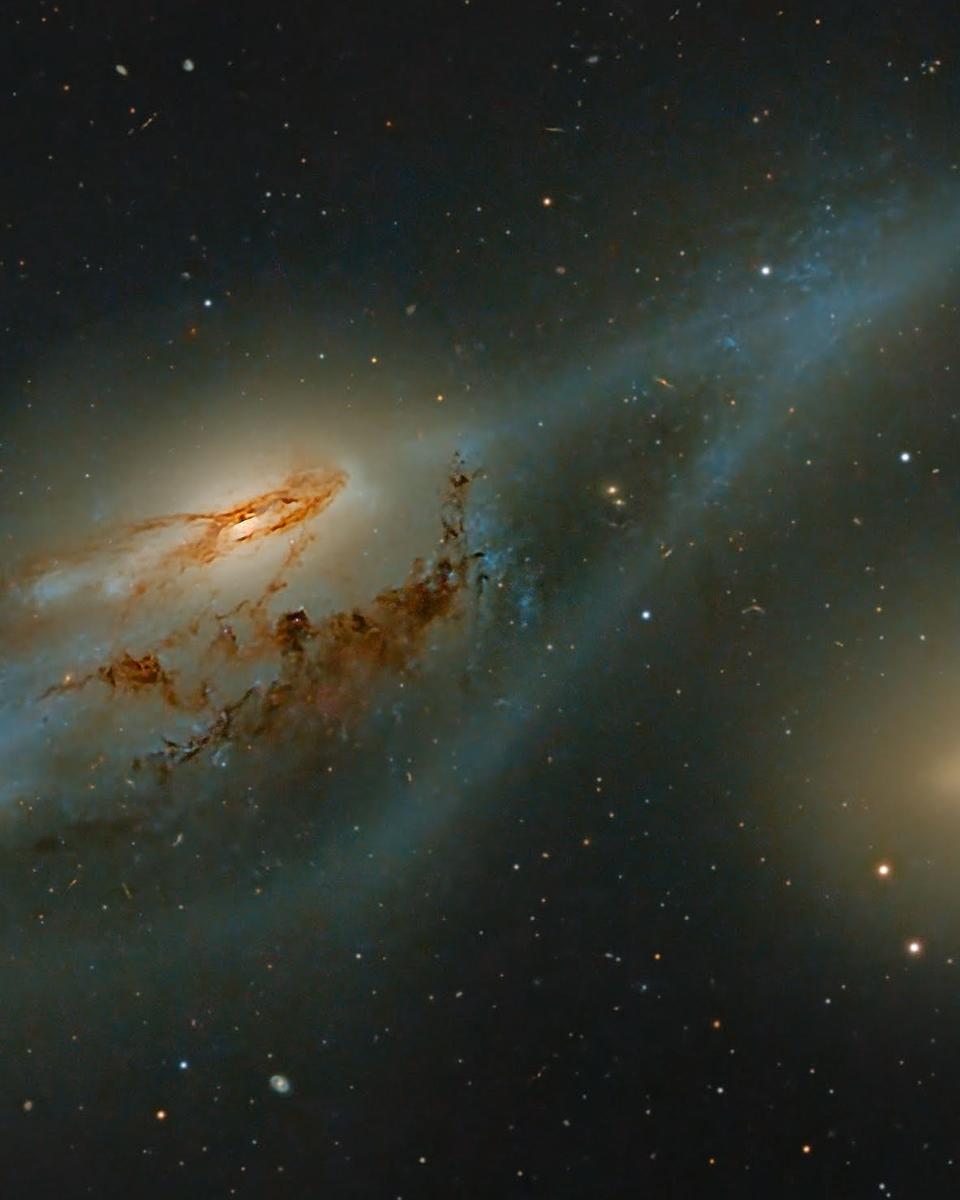 The Eyes in Markarian's Galaxy Chain